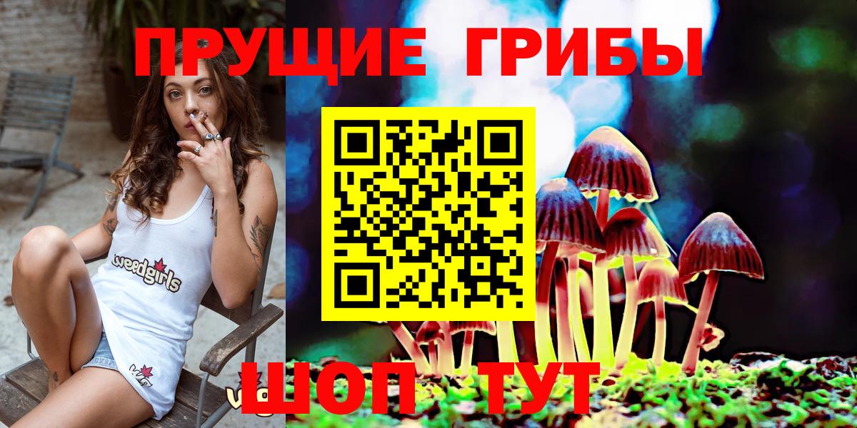 Прохладный  Галлюциногенные грибы Psilocybine cubensis  Псилоцибиновые грибы MAGIC MUSHROOMS  Вход с VPN 